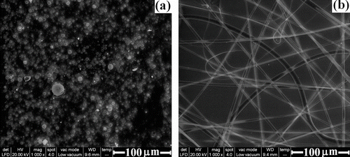 Figure 9 ESEM images of electrospun/electrospray products obtained from (a) 10% solution of triblock copolymer and (b) 20% solution of PCEMA-b-PMMA-b-PMAdU.