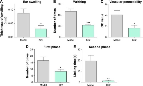 Figure 9 Effects of X22 on chemically-induced inflammation in vivo.