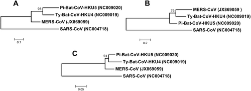 Fig. 2 Phylogenetic analysis of (a) nucleocapsid, (b) spike and (c) RdRp protein of Ty-BatCoV-HKU4, Pi-BatCoV-HKU5, and MERS-CoV. The trees were constructed by maximum-likelihood method in MEGA 6 using substitution model WAG+G (nucleocapsid), WAG+F+I+G (spike) and LG+G (RdRp) with SARS-CoV as the outgroup. The percentage of trees in which the associated taxa clustered together next to the branches with bootstrap values was calculated from 1000 trees. The scale bars indicate the number of substitutions per 10, 5, and 20 amino acids, respectively