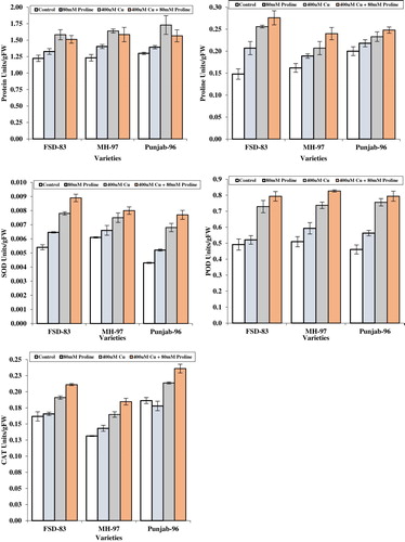 Figure 1. Effect of foliar application of proline (80 mM) on protein, proline, SOD, POD, and CAT contents of wheat varieties grown under Cu stress.