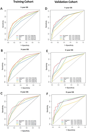 Figure 4 The ROC curves show the comparisons of AUC values of the nomogram, PINK, IPI, and KPI prognostic systems for predicting 1-, 3- and 5-year OS in the training cohorts (A–C) and validation cohorts (D–F).