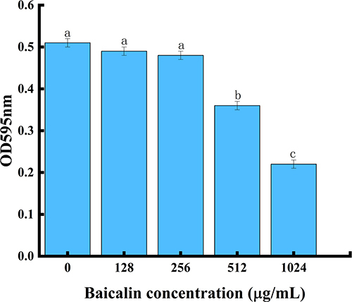 Figure 9 BAI inhibits biofilm formation by S. aureus.