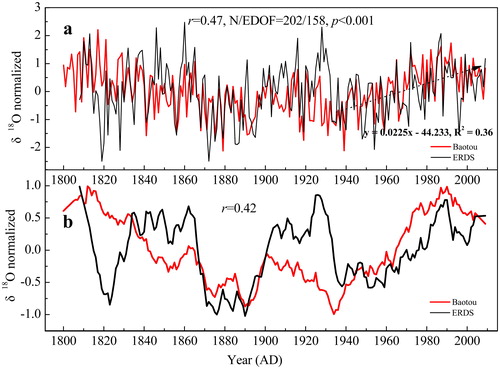 Fig. 7. Comparison of the δ18OTR records from Baotou and ERDS. (a) The original series of the two records. The δ18OTR record in ERDS (Liu, Wang et al. Citation2019) was normalised using the same method. The arrow line indicates the significant increasing trend of δ18OTR in Baotou since 1934 (Liu, Liu et al. Citation2019; Liu, Wang et al. Citation2019). (b) The 11-year moving averaging series of the two records.