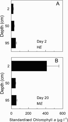 Fig. 7. Depth distribution of chlorophyll a in microcosms of Anabaena circinalis grown under (A) HE conditions on day 2 and (B) ME conditions on day 20. Data points are means of thee replicate cultures, and error bars are ± 1 S.D.