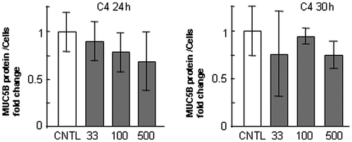Fig. 3. Evaluation of MUC5B protein in NCI-H292 cells on type-IV collagen.Notes: NCI-H292 cells (2 × 104 cells/well) were cultured in 96-well plates precoated with PBS (CNTL), or with 33, 100, 500 μg/mL of type-IV collagen (C4). The cells were cultured for 24 or 30 h and their culture medium were sampled. The samples were analyzed using the mucin protein assay to detect the levels of MUC5B protein in culture media. Fold changes were based on CNTL level of MUC5B in culture media (mean ± SD, n = 5, one-way ANOVA). The representative results of three independent experiments are shown.