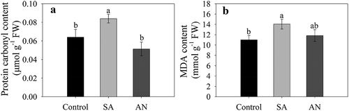 Figure 6. Effects of different N treatments on the protein-bound carbonyl (a) and MDA (b) contents in roots. The results represent the mean ± SD of three independent experiments. Different lowercase letters above the columns indicate significant differences at P < .05. Control: wheat seedlings grown in 7.5 mM NO3−; SA: wheat seedlings grown in 7.5 mM NH4+; AN: wheat seedlings grown in 7.5 mM NH4+ + 1.0 mM NO3−.