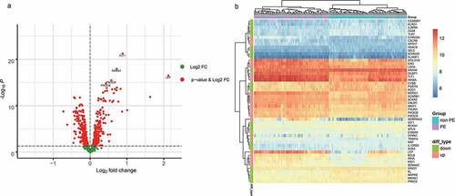 Figure 2. A. The differentially expressed immune-related genes (volcano plot). B. The 25 most differentially expressed upregulated and downregulated immune-related genes were selected to compare their expression differences