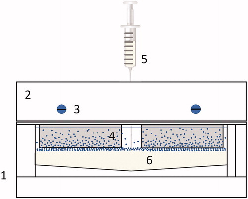 Figure 1. Gradient chamber (1): (2) Glass slide holder with mounting screws (3) to clamp glass slides (4), while buffer is injected at the bottom, below the nanoparticle solution using a syringe (5) into the chamber (6).