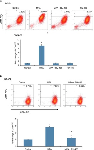 Figure 1 Effect of MPA on CD44 protein expression in hormone-responsive human breast cancer cells.