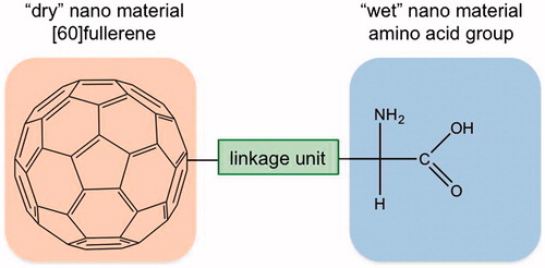 Figure 1. A schematic representation of an idealized [60]fullerene amino acid.