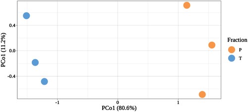 Figure 4. Principal coordinate analysis (PCoA) of three biological replicates of total (T) and ribosome associated (P) reads.