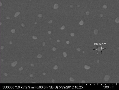 Figure 2 Images of Arrabidaea chica nanoparticles obtained by scanning electron microscopy.