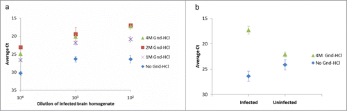 Figure 2. Effect of denaturation of hamster brain homogenates with guanidine-HCl (Gnd-HCl) prior to SP-PLA. (A) A homogenate from an infected hamster brain was incubated with different concentrations of Gnd-HCl and with a control without Gnd-HCl. Dilution series of the homogenates were analyzed for PrPSc through SP-PLA using the monoclonal antibody 3F4. (B) The effect of Gnd-HCl was also examined for a 100-fold dilution of infected and uninfected brain homogenate. Plotted are the mean cycle numbers at threshold (Ct) with standard deviations from duplicate experiments.