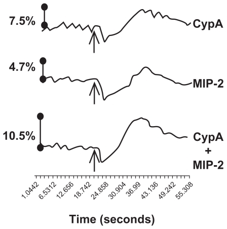Figure 4 The combination of CypA and MIP-2 increases neutrophil calcium flux. Neutrophils (106) were incubated for 30 minutes at 37°C in fluorescent dye followed by exposure to chemoattractants (5 ng/mL CypA alone, 10 ng/mL MIP-2 alone, or CypA and MIP-2 combined) at the time indicated by arrows. Changes in intracellular calcium levels were monitored over time by changes in fluorescence intensity using the FlexStation system (Molecular Devices). The % increase in Ca2+ was calculated as the peak fluorescence with the addition of chemoattractants over the average baseline fluorescence of the cells. As a positive control for the ability of cells to flux calcium, dATP was added at 120 seconds, with the following increases in Ca2+ over baseline (CypA = 20%, MIP-2 = 22% and CypA + MIP-2 = 20%). These data are representative of 3 independent experiments.Abbreviations: See list of abbreviations.