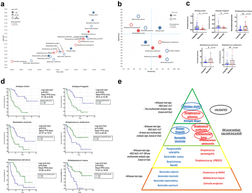 Figure 6. Multivariate and survival analysis. XY chart visualize key species according to AUC value from ROC analysis (axis Y) and p-value of Wilcoxon rank sum test (axis X) relative to the binary classification of long vs short PFS (A). Association of bacterial species with PFS is depicted in red (short) and blue (long). The normal value of Lasso coefficient is depicted in full (>0.5), half (0.1–0.5) and empty (not significant) spheres (A). Sensitivity-Specificity chart plots the same species, where specificity (axis Y), and sensitivity (axis X) are denoted in percentage (B). Association of bacterial species with PFS is depicted in red (short) and blue (long). The p-value from Cox (M) analysis is depicted in full (p < 0.05) and empty (p ≥ 0.05) spheres (B). Abundance of A. shahii (p = 0.0181) and A. finegoldii (p = 0.041) was significantly increased in patients with long- (vs short) PFS, whereas abundance of S. salivarius (p = 0.018), S. vestibularis (p = 0.0029) and B. breve (p = 0.0051) was significantly increased in patients with short- (vs long) PFS according to validation on an additional patient cohort. There was no significant difference in the case of B. adolescentis (p = 0.692). There were no abundance data available for B. visceriola, and A. dispar in the validation cohort’s Metaphlan2 dataset (C). Hierarchical pyramid-model shows key bacterial species according to long (blue) vs short (red) PFS (E): Level 1: Significant (p < 0.05) Wilcoxon Rank sum test; Level 2: Level 1 requirement and at least fair (Auc>0.7) ROC curve or at least one multivariate analysis (Lasso or Cox) with significant result; Level 3: Level 1 requirement and at least fair (Auc>0.7) ROC curve and at least one multivariate analysis (Lasso or Cox) showing significant result; Level 4: Level 1 requirement and at least fair (Auc>0.7) ROC curve and both multivariate analyses (Lasso and Cox) showing significant results (E). Bacteria on Level 3 and 4 were validated on an additional patient cohort (C) and KM curves were generated with cutoffs derived from ROC analysis for all species on levels 3 and 4 (D). A. shahii, A. finegoldii and B. visceriola – high patients showed significantly increased PFS compared to patients with low abundance of these species. Patients with increased abundances of S. vestibularis, S. salivarius and B. breve exhibited decreased PFS, compared to patients with low abundance of these species. Panel D displays KM curves with median PFS in months, p-values of Log-rank tests and patient numbers at risk in every comparison. X-axis represents elapsed (progression-free) time in months. Y-axis shows progression-free survival probability in percent. Encircled: Successfully validated; Underlined: KM curve analysis shows significant difference (Log-rank test).