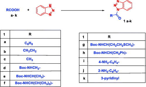 Scheme 2. Synthesis of N-acylbenzotriazoles 1a-k. Reagent condition: DCC (1.4 eq) in CH2Cl2, rt, 12 h.