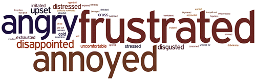 Figure 5. Words used to report passenger’s feelings in survey (increasing size according to frequency).