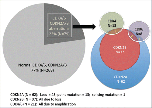 Figure 1. Frequency of CDK-associated genetic aberrations in 347 patients with diverse malignancies. Of 347 patients with diverse malignancies, 23% (N = 79) had an aberration in either CDK4 (N = 13 [3.7% of 347 patients]), CDK6 (N = 8 [2.3%]), CDKN2A (N = 62 [17.9%]) and/or CDKN2B (N = 37 [10.7%]). All cases with CDKN2B aberrations (N = 37) also had aberrant CDKN2A (but the opposite was not true). One case of CDK4 amplification had a co-existing CDKN2A/B aberration. CDK6 amplification occasionally co-existed with CDKN2A/B aberration (N = 2) or a CDKN2A aberration (N = 1).