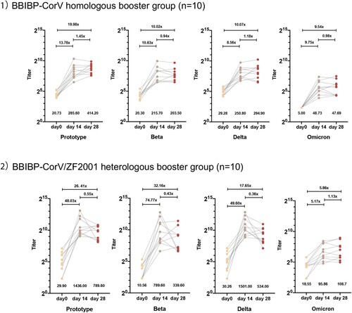 Figure 4. Plasma neutralization titres against Prototype, Beta, Delta, and Omicron SARS-CoV-2 variants in individuals with booster vaccination dose (neutralization titres evaluated before, 14 and 28 days after the booster dose). 1) BBIBP-CorV homologous booster group. 2) BBIBP-CorV/ZF2001 heterologous booster group.