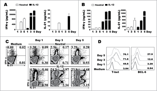 Figure 3. Kinetic studies of the expression of cytokines and transcription factors after IL-12 stimulation. Naive CD4+ T cells were stimulated for 1 to 5 d with anti-CD3 and anti-CD28 mAbs in the presence or absence of IL-12, and the cells and supernatants were harvested at different time-points. The levels of IFN-γ and IL-21 in supernatants were determined by ELISA (A). The cells were re-stimulated for 48 h with PMA and ionomycin, and levels of IFN-γ and IL-21 in supernatants were determined by ELISA (B). The cells were re-stimulated for 6 h with PMA and ionomycin in the presence of BFA, and the expression of IFN-γ, IL-21, T-bet and BCL−6 was detected by FACS. The representative results were shown (C, D).