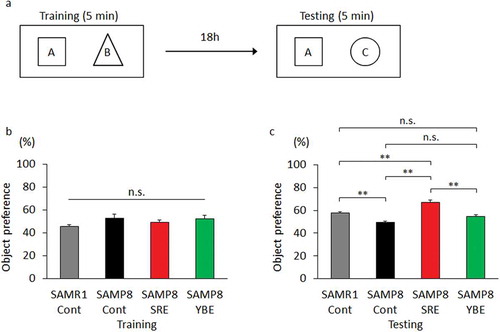 Figure 1. Effect of SRE consumption on long-term memory in SAMP8. Control diet-fed SAMR1 (SAMR1-Cont), control diet-fed SAMP8 (SAMP8-Cont), SRE diet-fed SAMP8 (SAMP8-SRE) and YBE diet-fed SAMP8 (SAMP8-YBE) mice were subjected to the novel object recognition and memory retention test after a 23-week dietary experimental period to evaluate long-term memory. (a) During training, two objects, A and B, were presented to a mouse. During testing, one object was replaced by a novel object, C. Each mouse was tested 18 h after training. If the mouse remembered object A, it touched the novel object C more often. (b) Object preference was scored by the number of approaches to the object {B/(A + B)}. All groups of mice had equal preferences for objects A and B. (c) Object preference was scored by the number of approaches to the object {C/(A + C)}. Data are expressed as means ± standard errors of the means; n = 6; **p < 0.01; n.s.: not significant.