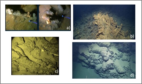 Figure 4. Examples of seafloor Volcanic landforms observed by ROV on the Marsili and Paliburo seamounts. (a) Low-temperature hydrothermal vents at the summit cone of Marsili; at right an active vent with deposits of Fe oxy/hydroxides and bacterial matte, at left an inactive vent. Field of View (FOV) 1.5 m. (b) Fe oxy/hydroxide hydrothermal mound with several active vents at the northern boundary of the caldera ring-fault cone of Palinuro. (FOV 3 m). (c) Lava ribbons descend the summit cone flanks towards the central plateau of Marsili Volcano (FOV 2 m). (d) Well developed pillow lava mound on the flanks of a volcano in the central region of the PVC (FOV 4 m). For (b) and (d) rights obtained from NOAA Office of Ocean Exploration and Research, The Ocean Exploration Trust and the Institute for Exploration, University of Rhode Island).