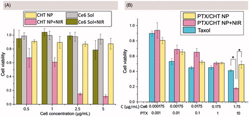 Figure 6. MTT assays of CHT NPs and PTX/CHT NPs with/without NIR irradiation. (A) Dark toxicity and phototoxicity of CHT NPs and Ce6 solution against MCF-7 cells. (B) Cytotoxicity of PTX/CHT NPs (with/without NIR irradiation) and Taxol towards MCF-7 cells. *p < .01. Data were represented as mean ± SD (n = 6).