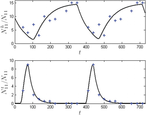 Figure 3. Flea parameters bh, bt, and dt were obtained by fitting Equations (Equation10dZihdt=φU3h(t)bhNi1+Ni+NihNih−dih+λhIiNi+1Zih+γhSi+RiNi+1Yih+∑j=1pmxijSj+RjNj+1ZjhAj−Si+RiNi+1ZihAi,dYihdt=α2λhIiNi+1Zih−dihU+γhSi+RiNi+1Yih+∑j=1pmIxijIjNj+1YjhAj−IiNi+1YihAi,dYitBdt=(1−α2)λhIiNi+1Zih−dihBYihB,) and (Equation11dZitdt=φU3t(t)btNi1+Ni+NitNit−dit+λtIiNi+1Zit+γtSi+RiNi+1Yit+∑j=1pmxijSj+RjNj+1ZjtAj−Si+RiNi+1ZitAi,dYitdt=λtIiNi+1Zit−ditU+γtSi+RiNi+1Yit+∑j=1pmIxijIjNj+1YjtAj−IiNi+1YitAi,), in the absence of infection and migration, to monthly flea load data (marked by +), given in [Citation78].