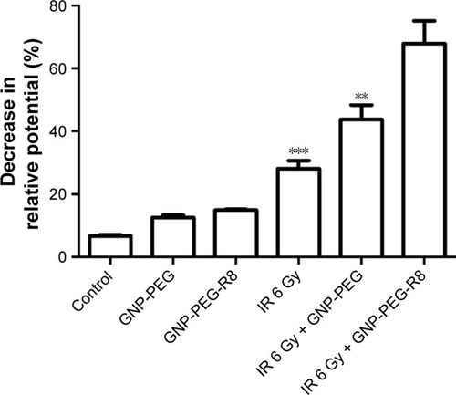 Figure 11 Mitochondrial membrane potential analysis in LS180 cells. Data were quantified and the results are presented as the mean±SD. Compared with the IR 6 Gy + GNP-PEG-R8 group, **p<0.01, ***p<0.001.Abbreviations: ROS, reactive oxygen species; IR, irradiation; GNP, gold nanoparticle; PEG, poly(ethylene glycol); R8, octaarginine.