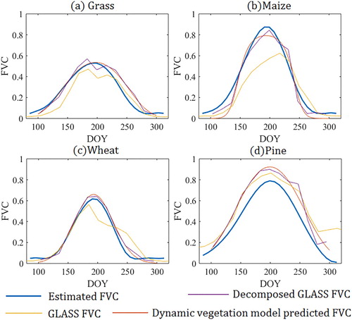 Figure 6. Comparison of the temporal trajectories of GLASS FVC, decomposed GLASS FVC, the FVC predicted by the dynamic vegetation model, and the FVC estimated using the proposed method.