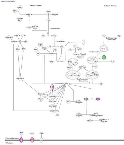 Figure 3 The coagulation pathway discovered by Ingenuity Pathway Analysis. The upregulated and downregulated genes are marked red and green, respectively.