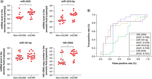 Figure 3. Expression of candidate miRNAs and quantification of 16S rDNA in patients with microbiomic chorioamnionitis.(A) Comparison of miR-4535, miR-1915-5p and miR-191-5p levels and 16S rDNA copy numbers in the amniotic fluid from pregnant women with microbiomic chorioamnionitis (miCAM) (n = 21) and without miCAM (non-miCAM) (n = 16). Data are expressed as the median ± 95% CI. Thick and thin bars indicate the median and 95% CI, respectively. (B) Diagnostic and predictive accuracies of miRNA expression and 16S rDNA copy number for chorioamnionitis and miCAM. Blue, green, yellow and purple lines indicate receiver operating characteristic curves for 16S rDNA, miR-191-5p, miR-1915-5p and miR-4535, respectively.*p < 0.05.CRP: C-reactive protein; miCAM: Microbiome chorioamnionitis; WBC: White blood cell.