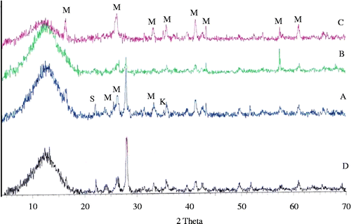 Figure 7 XRD powder diffraction patterns for all batch formulations heat treated at 900°C for 2 h.