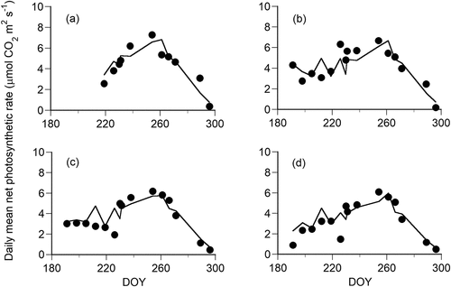 Figure 5. Comparison between observed values (dots) and expected values (lines) for the seasonal change in daily mean photosynthetic rates of Pinus pumila. The daily mean photosynthetic rate was the mean value of photosynthetic rates at hourly intervals. The panels show (a) current year needles, (b) one-year-old needles, (c) two-year-old needles, and (d) three-year-old needles.