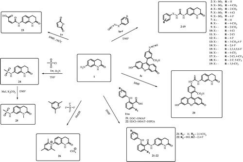 Scheme 1. Synthesis of compounds 2–26.
