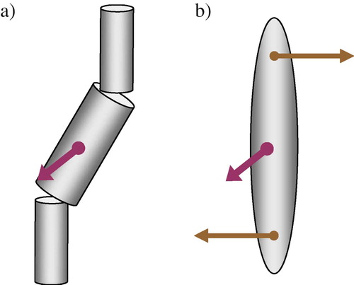 Figure 2. Simple models for chiral biaxial molecules of the C 2h symmetry with transverse molecular dipoles.