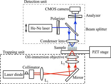 Figure 3. Optical setup of the trapping and detection system.