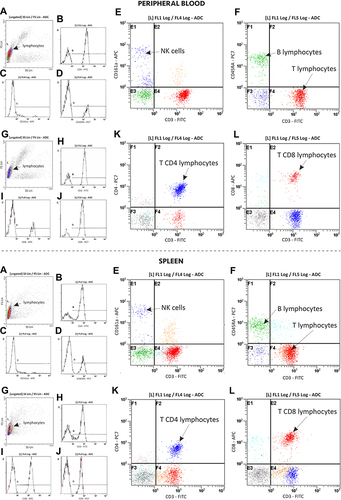 Figure 1 Representative flow cytometry graphs showing the cell surface marker analysis of peripheral blood and spleen lymphocyte populations (T, B, NK) and subsets of T lymphocytes (TCD3+CD4+CD8−, TCD3+CD4−CD8+).