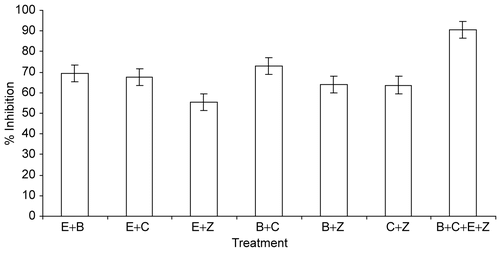 Figure 2.  Antioxidant activity of different combinations. E,Emblica officinalis; B, Bacopa monneiri; C, Curcuma longa; Z, Zingiber officinale; n = 3 and p ≤ 0.01 for each combination compared to vehicle control.