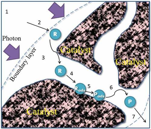 Figure 4. Schematic representation of the mass transfer processes. Reprinted with permission from ref. 19. Copyright Elsevier.