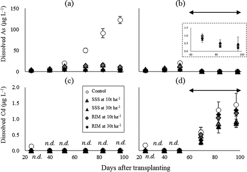 Figure 2. Time courses of the concentrations of dissolved As and Cd in soil solution during the cultivation period. (a) and (c) are under CF cultivation and (b) and (d) are under WS cultivation. SSS and RIM denote SSS and residual iron material, respectively. The plot and error bar represent average and standard deviation, respectively. The double-headed arrow indicates intermittent irrigation period. n.d. means dissolved Cd in soil solution was not detected (< 4.05 × 10–3 μg L−1).