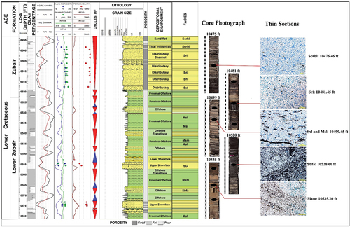 Figure 5. The detailed lithology of the Zubair Formation associated with the depositional environment, cyclicity and facies analysis. The different facies represented by core photographs and thin sections show the detailed composition of the rocks. Besides, the log and core gamma ray, density, neutron, resistivity, measured porosity and permeability are plotted opposite each lithology.