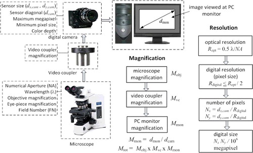 Figure 3. System parameters for magnification and resolution; Mobj, Mvc, Mmon and Mtot represent microscope magnification, video coupler magnification, PC monitor magnification and total magnification, respectively; dmon, dcam, dx,cam and dy,cam represent diagonal dimension of monitor and diagonal dimension of camera sensor, horizontal size of camera sensor and vertical size of the camera sensor, respectively; Ropt, Rdigital and λ represent optical resolution, digital resolution and wavelength, respectively; Nx, and Ny represent number of pixels in horizontal and vertical directions, respectively.