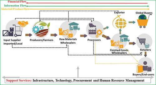 Figure 1. Schematic representation of agri-food value chain in Ghana.