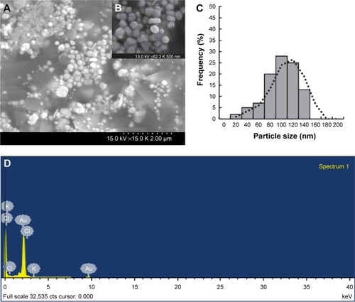 Figure 3 SEM, EDX analysis, and size distribution of gold nanoparticles (ANPs).Notes: (A and B) SEM images; (C) size distribution of ANPs; (D) EDX spectra of gold nanoparticles.Abbreviations: EDX, energy-dispersive X-ray; SEM, scanning electron microscopy.