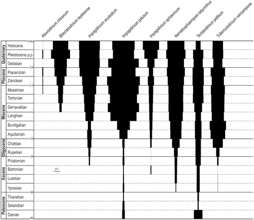 Figure 3. ‘Index of stratigraphical abundance’ (ISA) of some cyst species possibly related to the motile Gonyaulax spinifera complex. The chronostratigraphicalframework on left column is from ICS (Citation2016). Species are presented in alphabeticalorder. The scale bar corresponds to ISA =0.1.