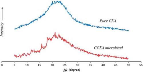 Figure 4. XRPD Patterns of Pure CXA and CCXA Microbead Formulation.