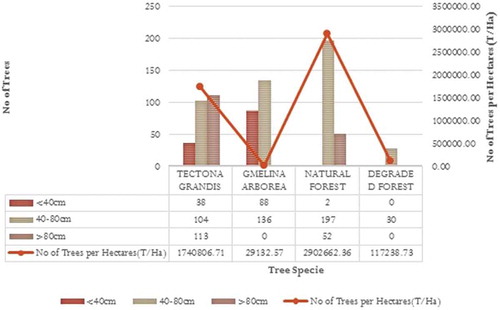 Figure 3. Allometric regression equation on field measurements.