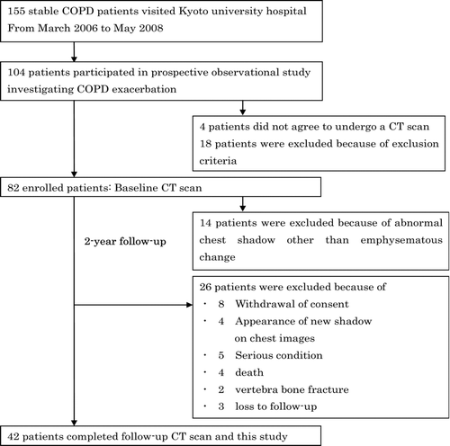 Figure 1.  Patient disposition and reasons for exclusion. COPD, chronic obstructive pulmonary disease; CT, computed tomography.