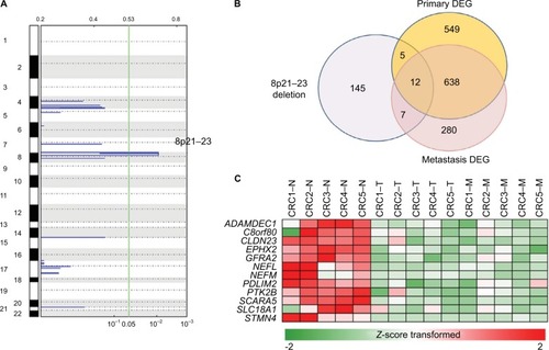 Figure 3 Copy number variations in primary tumors and liver metastases.